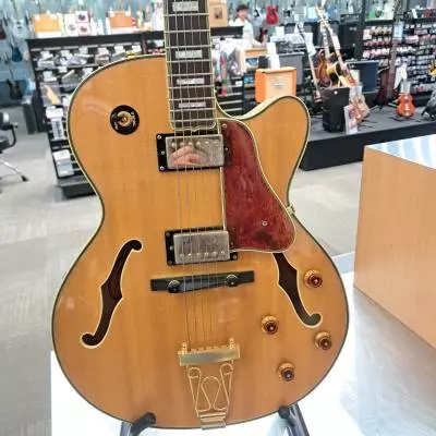 Epiphone Joe Pass Emperor 2